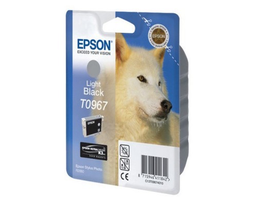 Картридж Epson C13T09674010 для R2880 (Light Black) (cons ink)