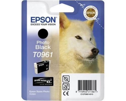 Картридж EPSON C13T09614010 картридж для  R2880 (Photo Black) (cons ink)