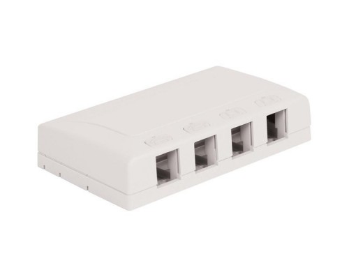 Розеточная коробка Surface Mount Module, 4-портовая, Цвет: альп.белый Surface Mount Module, 4port, for AMP-TWIST & all SL, white