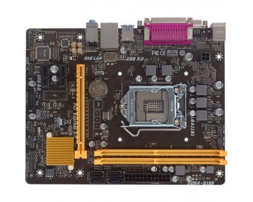 Материнская плата Biostar H110MDS2 Pro D4, Socket 1151, Intel®H110, 2xDDR4-2133, D-SUB+DVI, 1xPCI-Ex16, 2xPCI-Ex1, 4xSATA3, 8 Ch Audio, GLan, (2+2)xUSB2.0, (2+2)xUSB3.0, LPT, 2xPS/2, mATX, RTL