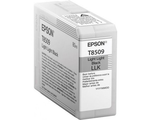 Картридж Epson T8509 C13T850900 Light Light Black для SC-P800