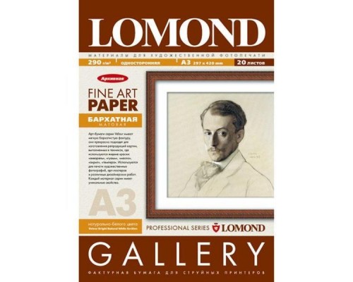 Арт бумага LOMOND для струйной печати LOMOND Velour А3, 170г/м2, слабовыраженная бархатистая фактура, натурально-белого цвета, матовая, двухсторонняя.