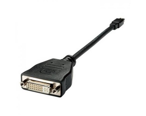 Кабель Leadtek X0101G00247A DVI to mini-DisplayPort cable 45cm/BLACK