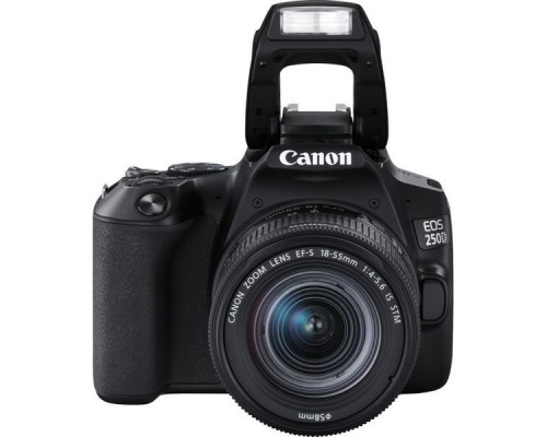 Зеркальный Фотоаппарат Canon EOS 250D черный 24.1Mpix EF-S 18-55mm f/1:4-5.6 IS STM 3