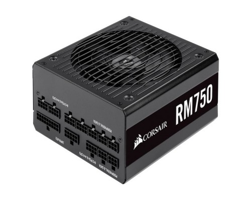 Блоки питания Corsair RM750 [CP-9020195-EU] 750 Watt 80 PLUS® Gold Certified Fully Modular PSU RTL