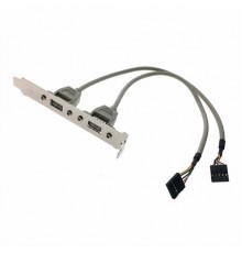 Кабель 1700100170   Cable 2*5P-2.54/USB-A(F)*2 17.5cm W/BKT F/5, with bracket Advantech                                                                                                                                                                   