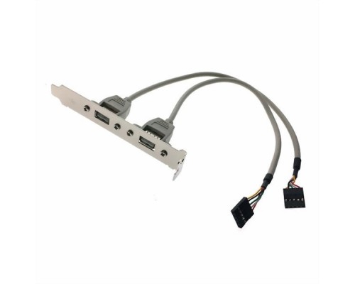 Кабель 1700100170   Cable 2*5P-2.54/USB-A(F)*2 17.5cm W/BKT F/5, with bracket Advantech