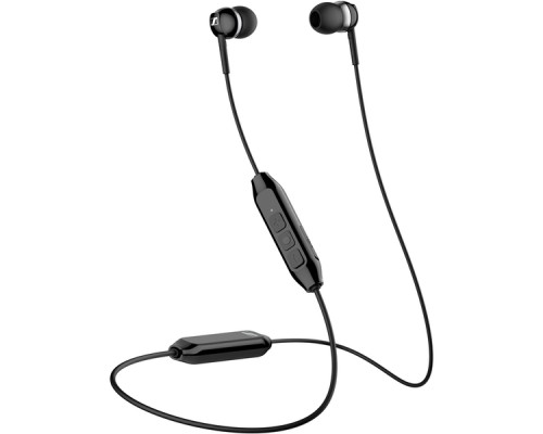 Наушники беспроводные Sennheiser/ Bluetooth 5.0 внутриканальные 17-20000Гц 112дБ микрофон, до 10 часов работы, чехол, сменные амбюшуры, держатель 