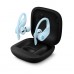 Наушники Powerbeats Pro - Totally Wireless Earphones - Glacier Blue