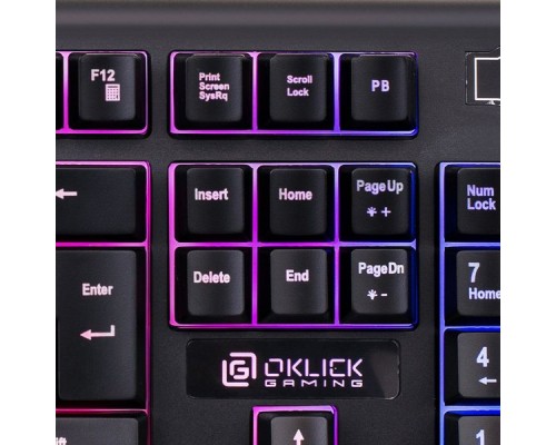 Клавиатура Оклик 717G BLACK DEATH черный/серый USB Multimedia for gamer LED