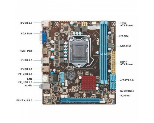 Материнская плата HB310CNB-UK   RTL