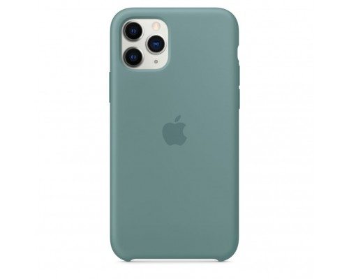 Чехол iPhone 11 Pro Silicone Case - Cactus