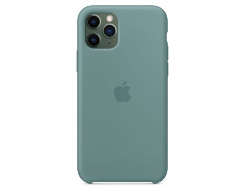 Чехол iPhone 11 Pro Silicone Case - Cactus