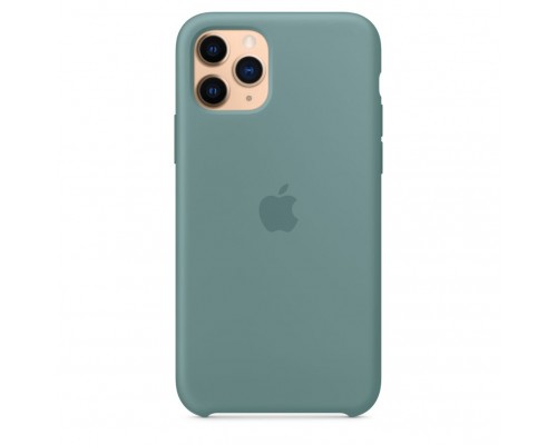 Чехол iPhone 11 Pro Silicone Case - Cactus