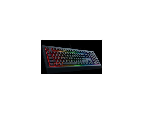 Клавиатура Razer Cynosa V2 Gaming keyboard  - Russian Layout