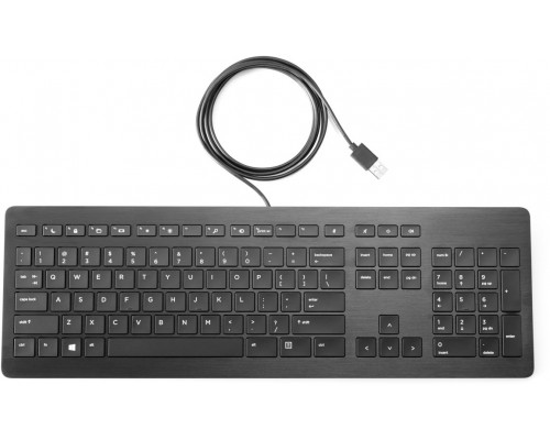 Клавиатура HP USB Premium Keyboard RUSS