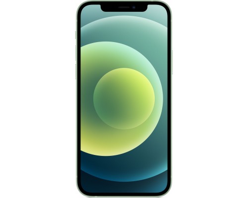 Смартфон iPhone 12 256GB Green