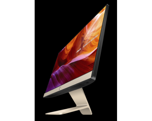 Моноблок ASUS Vivo V222FBK-BA005D   21.5