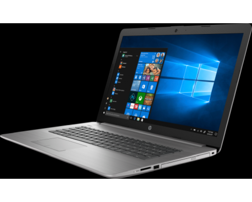 Ноутбук HP 470 G7 9HP76EA i7-10510U (1.8)/8G/256G SSD/17.3''FHD AG 300nit/AMD Radeon 530 2G/DOS (Asteroid Silver)