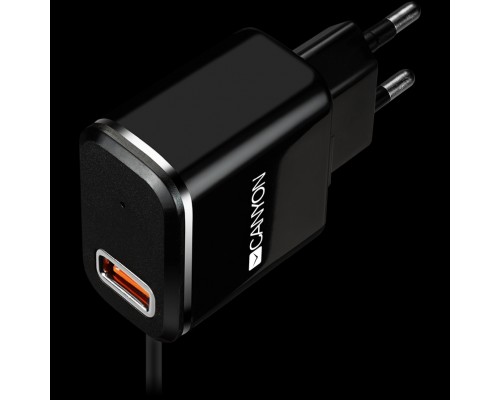 Адаптер питания CANYON H-041 Universal 1xUSB AC charger (in wall) with over-voltage protection, plus Micro USB connector, Input 100V-240V, Output 5V-2.1A, with Smart IC, black (silver stripe), cable length 1m, 81*47.2*27mm, 0.059kg