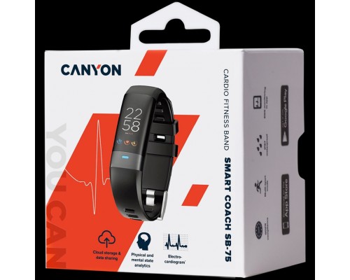 Смарт-часы Smart Band, colorful 0.96inch TFT, ECG+PPG function,  IP67 waterproof, multi-sport mode, compatibility with iOS and android, battery 105mAh, Black, host: 55*19.5*12mm, strap: 18wide*240mm, 24g