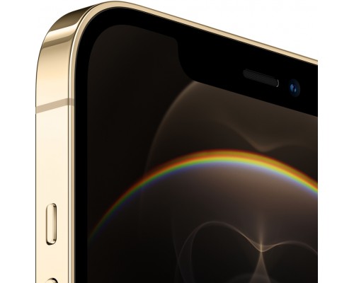 Смартфон iPhone 12 Pro Max 256GB Gold