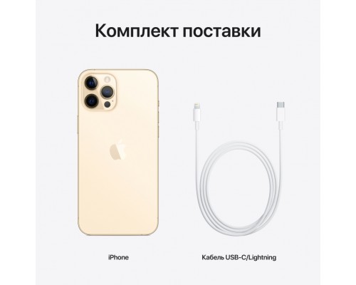 Смартфон iPhone 12 Pro Max 256GB Gold