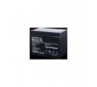Батарея CyberPower Standart series RС 12-75, voltage 12V, capacity (discharge 20 h) 75Ah, max. discharge current (5 sec) 900A, max. charge current 22.5A, lead-acid type AGM, terminals under bolt M8, LxWxH 259x168x208mm., full height with terminals 21