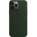 Чехол Apple MagSafe, силикон, для iPhone 13 Pro Max Leather Case with MagSafe - Sequoia Green