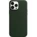 Чехол Apple MagSafe, силикон, для iPhone 13 Pro Max Leather Case with MagSafe - Sequoia Green