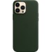 Чехол Apple MagSafe, силикон, для iPhone 13 Pro Max Leather Case with MagSafe - Sequoia Green