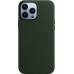 Чехол Apple MagSafe, силикон, для iPhone 13 Pro Max Leather Case with MagSafe - Sequoia Green