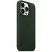 Чехол iPhone 13 Pro Leather Case with MagSafe - Sequoia Green