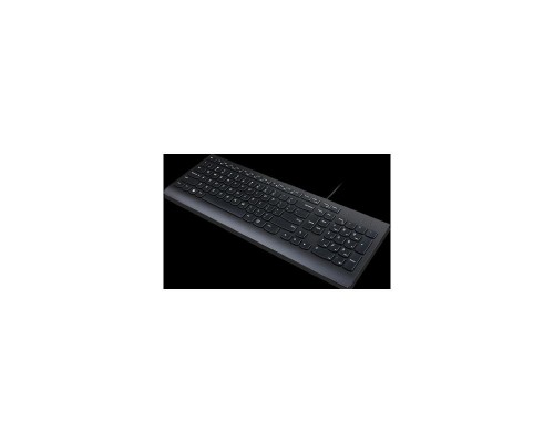 Клавиатура/ Lenovo KBD_BO Essential KB RU-CY