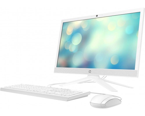 Моноблок HP 21-b1028ur AiO   20.7