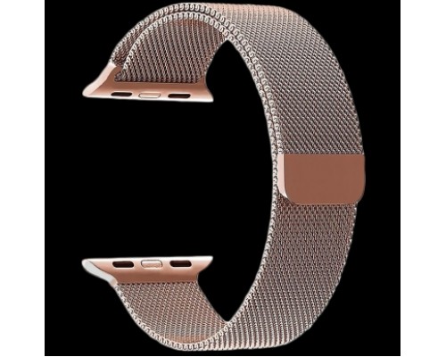 Нейлоновый ремешок для Apple Watch 38/40 mm LYAMBDA VEGA DS-GN-02-40-5 Rose Gold