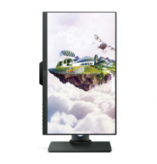 Монитор LCD 25'' 16:9 2560х1440(WQHD) IPS, 60 Гц, 350cd/m2, H178°/V178°, 1000:1, 20M:1, 16.7M, 14ms, VGA, HDMI, 2xDP, USB-Hub, Height adj, Swivel, Speakers, Grey                                                                                         