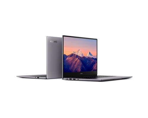 Ноутбук HUAWEI MateBook B3-420 (NDZ-WDH9A) 14