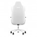 Игровое кресло Argent E700 Gaming Chair Glacier White, Comfort size 4D/75 Glacier White, Comfort size 4D/75