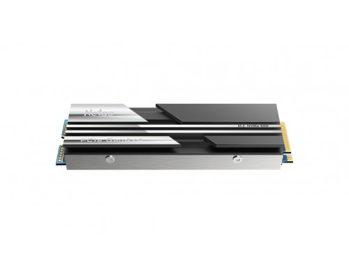 Накопитель SSD Netac M.2 2280 NV5000 NVMe PCIe 500GB NT01NV5000-500-E4X (heat sink)