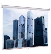 Настенный экран Lumien Eco Picture 127х200см (рабочая область 121х194 см) MW восьмигранный корпус, возможность потолочн./настенного крепления, уровень в комплекте, 16:10 (треугольная упаковка)                                                          