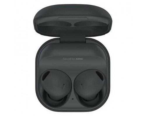 НаушникиSAMSUNG Galaxy Buds 2 Pro Graphite (R510)