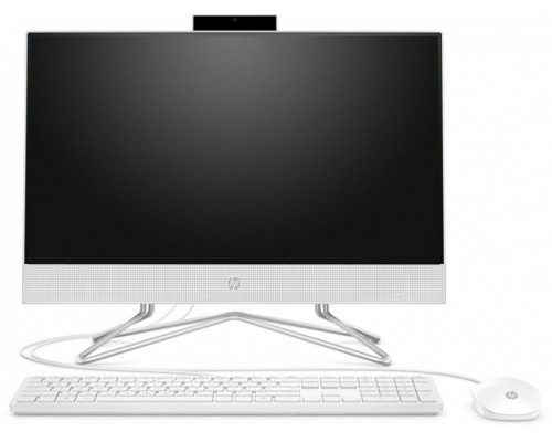 Моноблок HP 205 G4 All-in-One NT 21,5