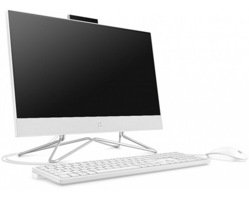 Моноблок HP 205 G4 All-in-One NT 21,5