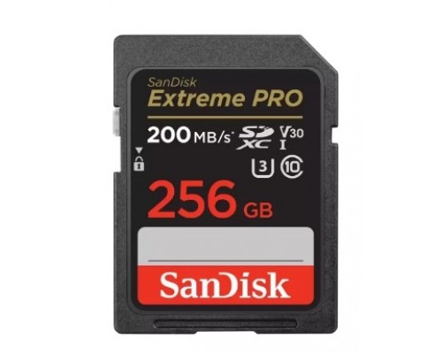 Карта памяти 256GB SanDisk SDSDXXG-256G-GN4IN