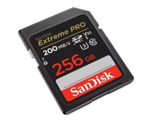 Карта памяти 256GB SanDisk SDSDXXG-256G-GN4IN