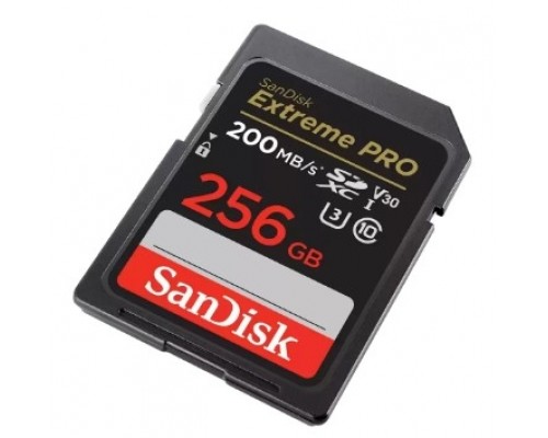 Карта памяти 256GB SanDisk SDSDXXG-256G-GN4IN