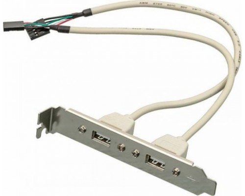 Адаптер ASIA ASIA BRACKET USB 2.0 2 PORT