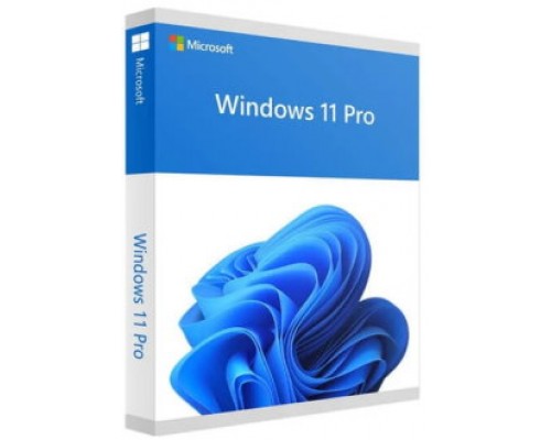 ПО Microsoft Win Pro FPP 11 64-bit Eng USB HAV-00162