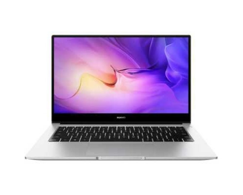 Ноутбук Huawei MateBook D 14 NbDE-WFH9 (53013QDV)